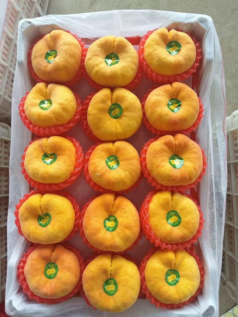蒙阴蜜桃大量供应，产地直发，品种齐全，可对接电商商超等