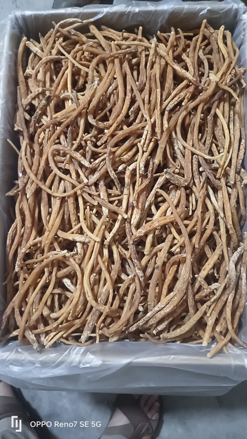 川明叁