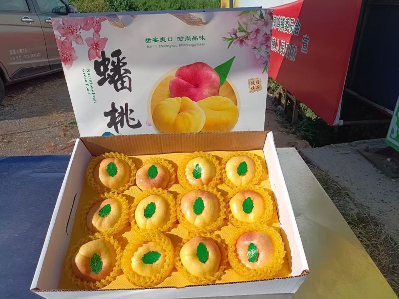 油蟠桃36-5和7-7便宜出售