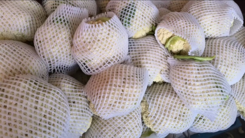 有机花菜