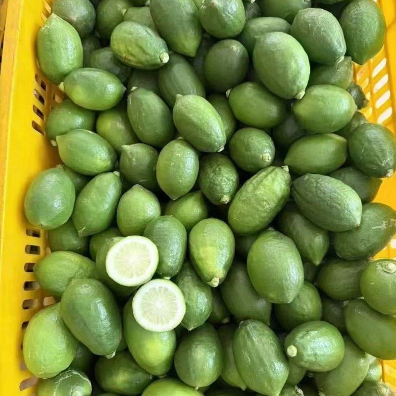 香水柠檬