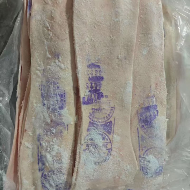 带章脊皮