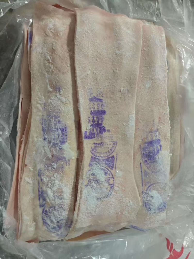 带章脊皮