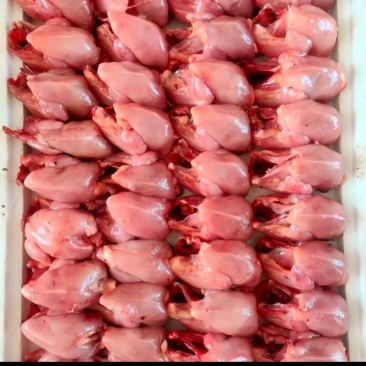 精品扒皮鹌鹑肉货源充足量大从优质量保证欢迎咨询