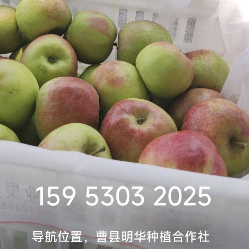 华硕苹果可以视频看果