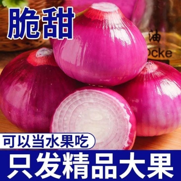 河南开封通许紫皮洋葱，大量有货，欢迎选购