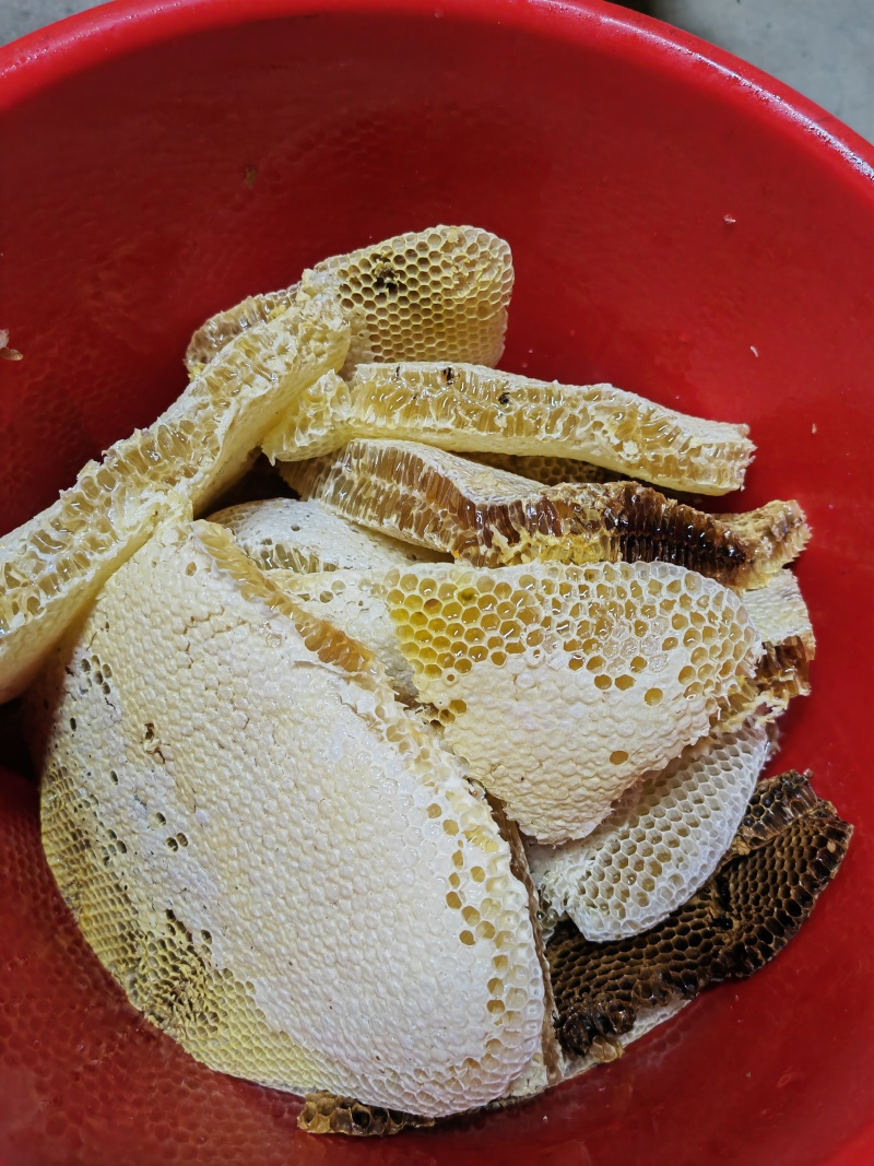 出售野生蜂蜜