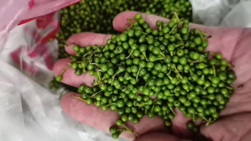 广西桂林木姜子