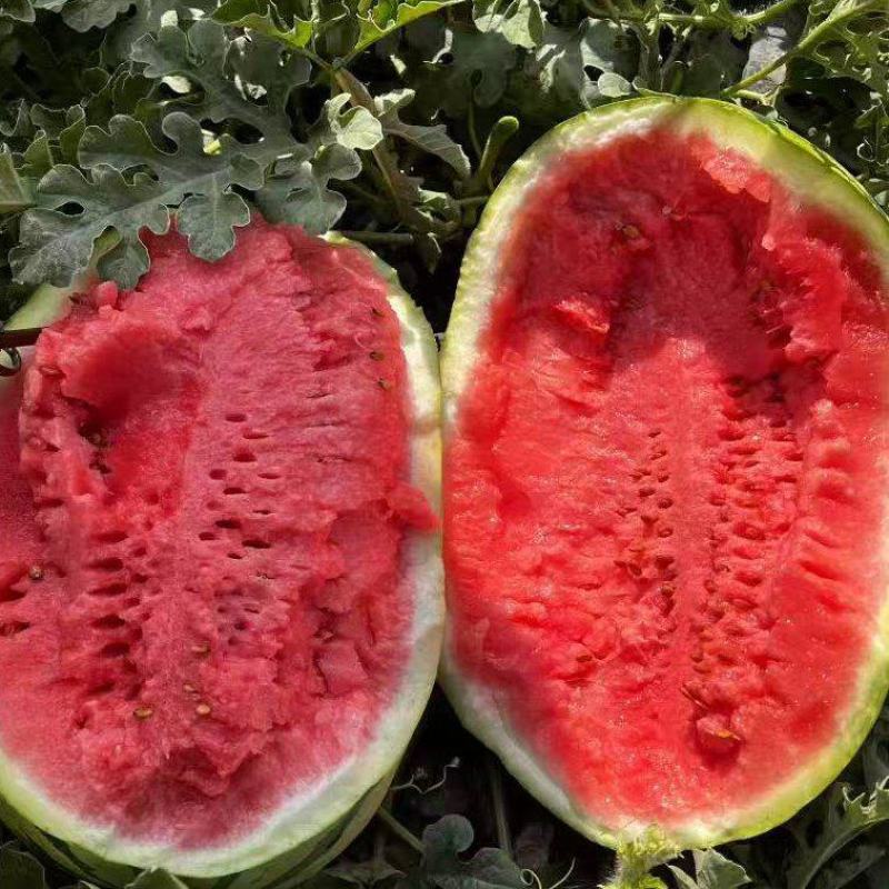 【实力热卖】宁夏硒砂瓜清甜可口量大从优价格美丽质量**