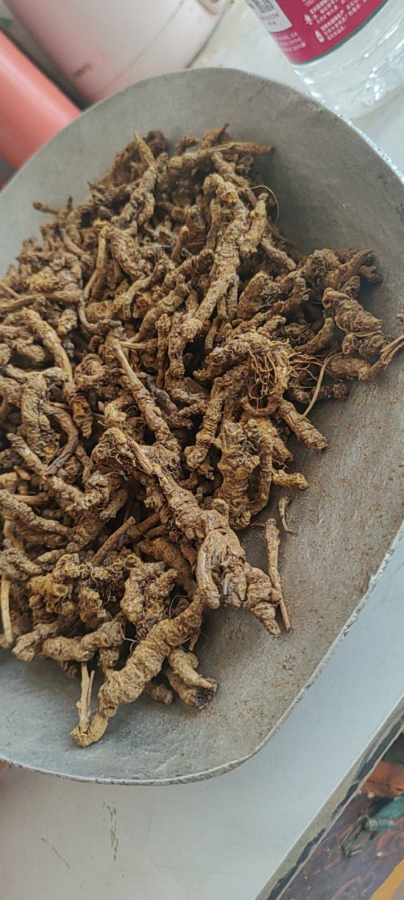 《黄连》单支连四川黄连买好药尽在聚源中药