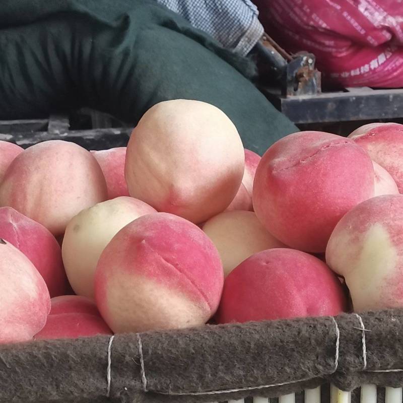 水蜜桃