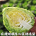 鸡心甘蓝牛心甘蓝牛心包菜支持视频看货打款发货