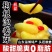 【泡菜】山东特产嫩姜芽枸杞酸甜脆姜牙咸菜糖醋正宗淄博泡姜
