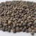 箭筈豌豆种子箭舌豌豆毛苕子耐热耐旱果园绿肥牧草籽饲用牧草