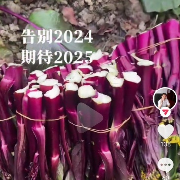 红菜苔三百多亩，有需要的老板预订了，
