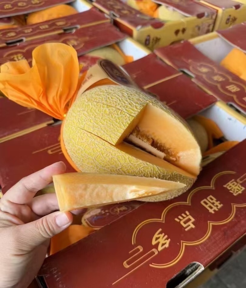 甘肃黄金蜜民勤甜瓜哈密瓜皮薄多汁量大从优
