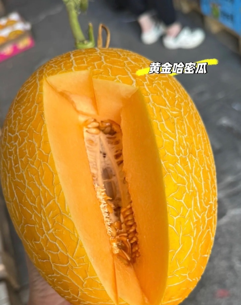 甘肃黄金蜜民勤甜瓜哈密瓜皮薄多汁量大从优