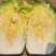 大棚芹菜