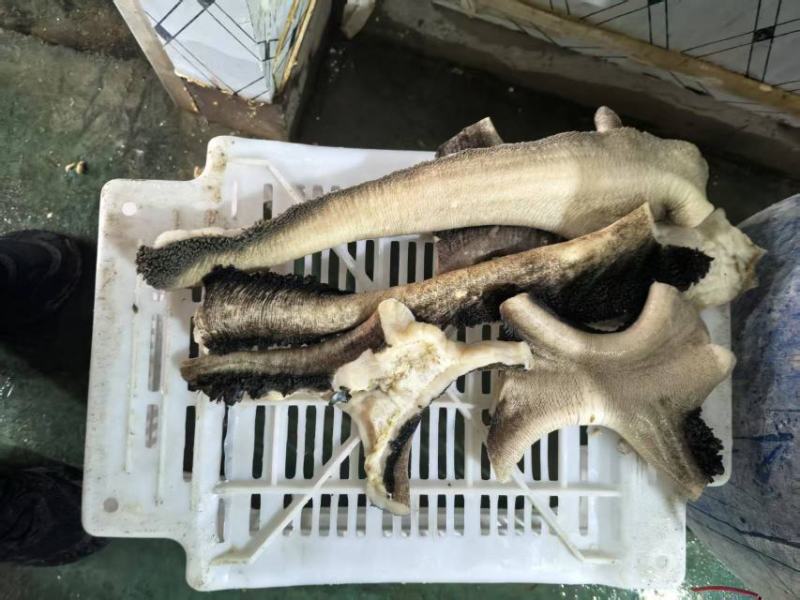 牛肚领肚叉大量上市产地直发，品质保证，服务周到诚信经营