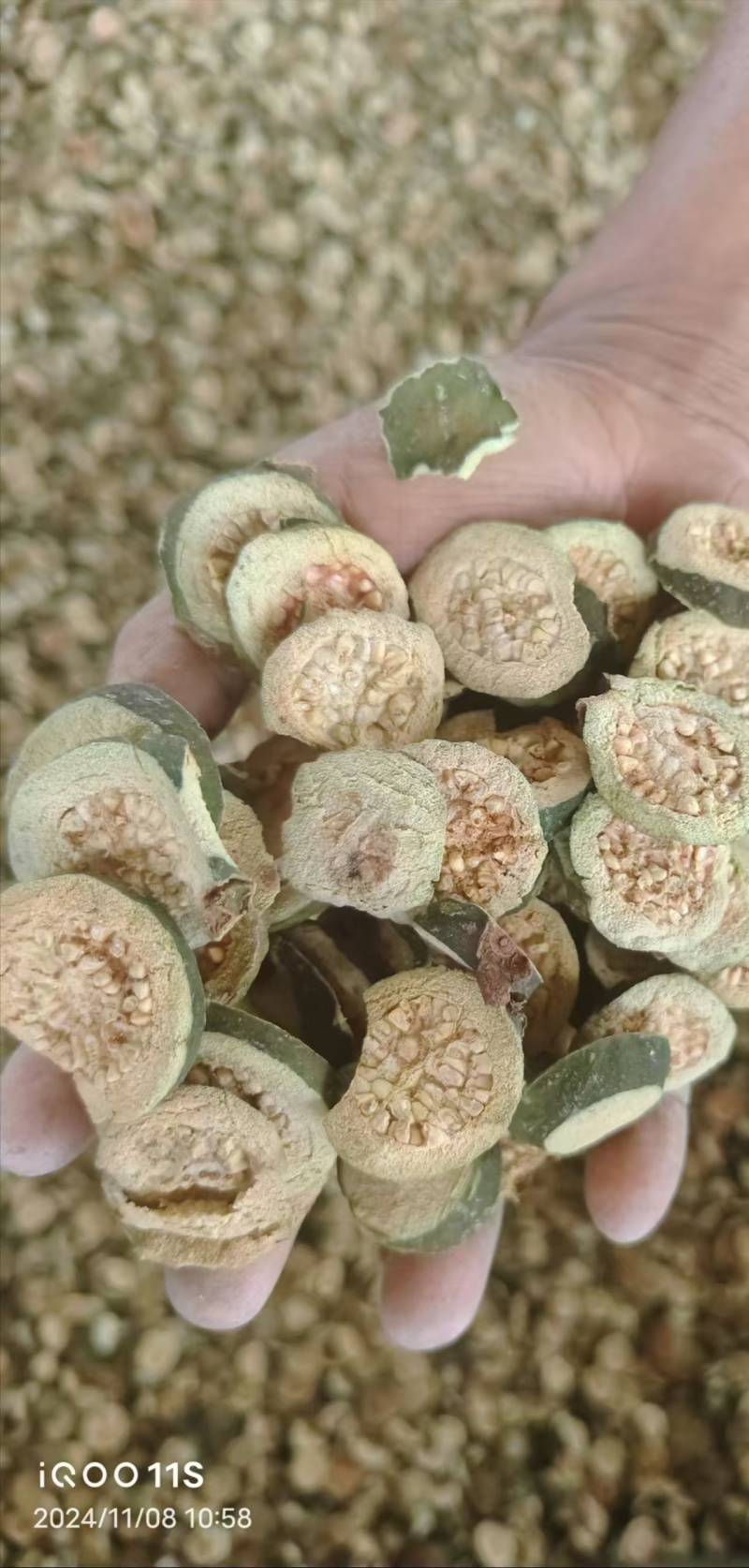 野生白心番石榴干大量供应。可按需加工。