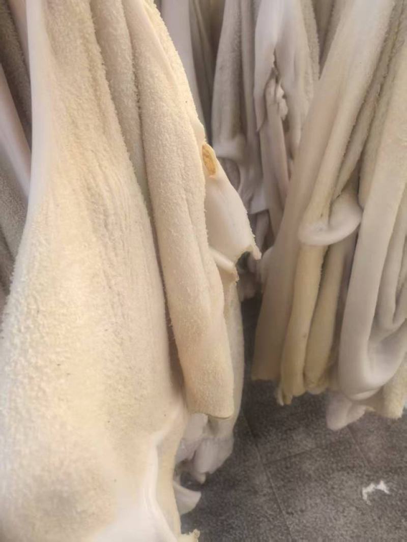 半成品牛肚大量上市产地直发，品质保证，服务周到，诚信经营
