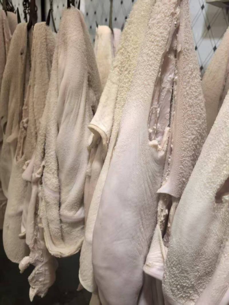 半成品牛肚大量上市产地直发，品质保证，服务周到，诚信经营
