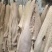 半成品牛肚大量上市产地直发，品质保证，服务周到，诚信经营