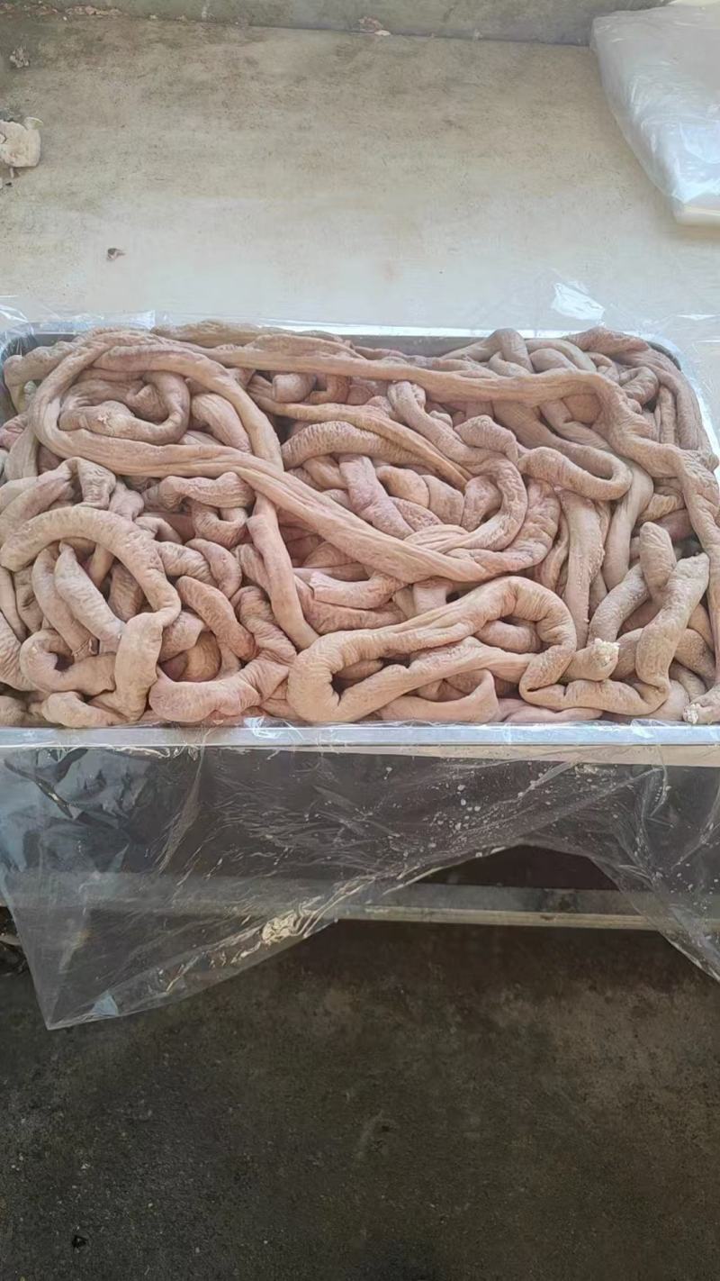 飞水牛圆肠，大量上市，品质保障，服务周到，诚信经营