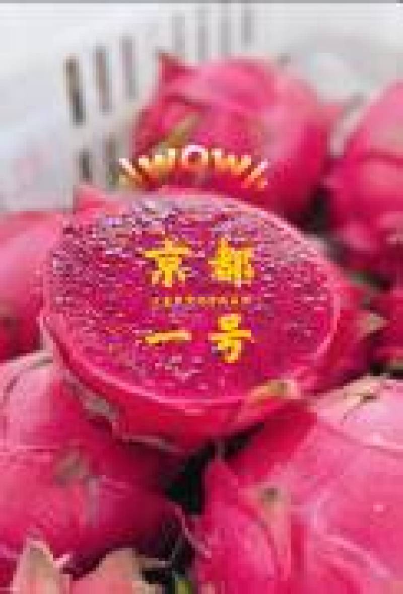 火龙果，大量有货，产地一手货源，量大优惠，欢迎新老客户前