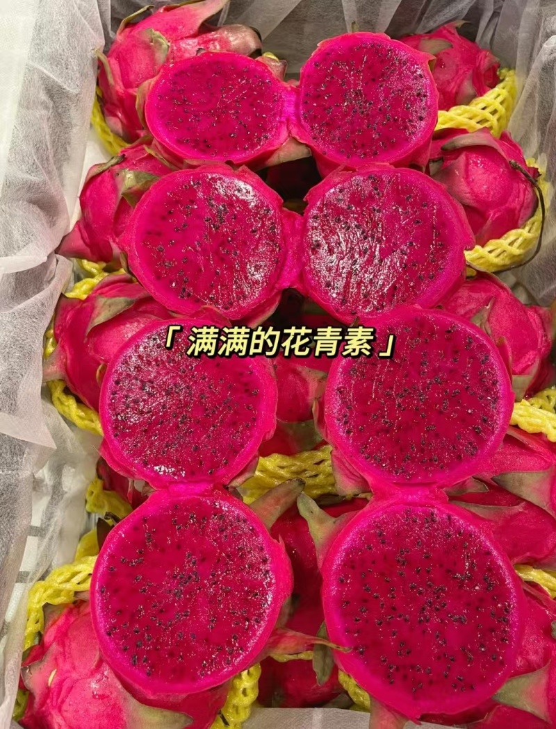 火龙果，大量有货，产地一手货源，量大优惠，欢迎新老客户前