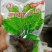 酱香榨菜丝，原产地直发，新鲜货