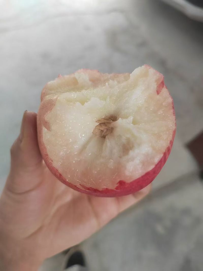 秦安蜜桃