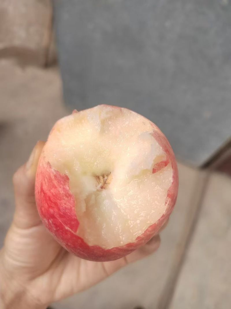 秦安蜜桃