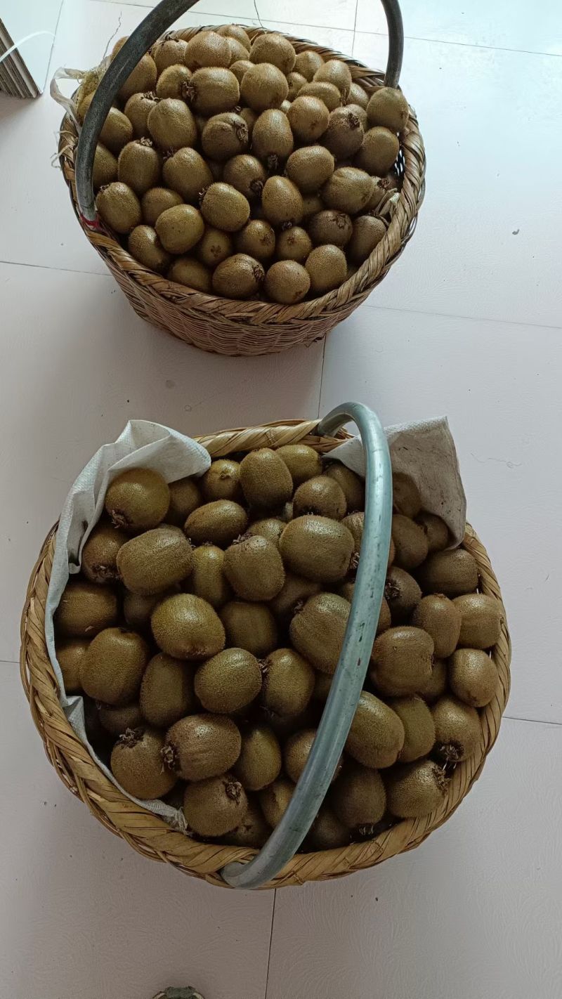 徐香猕猴桃