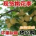汉源桃花李，冰糖李子