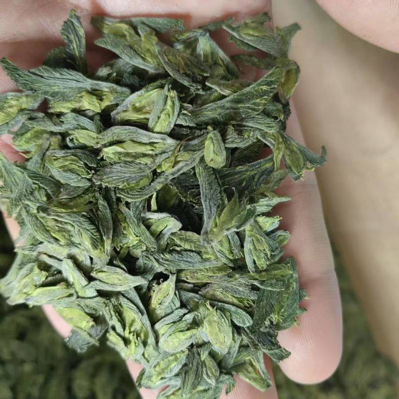 桑叶荼