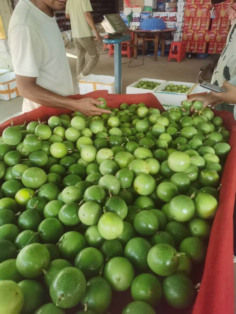 规格齐全百香果随时可聊