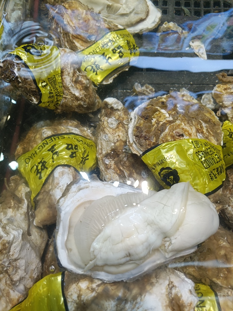 生蚝