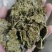 棉籽饼牛羊养殖饲料育肥棉饼有机肥瓜果蔬菜增收增产量大从优