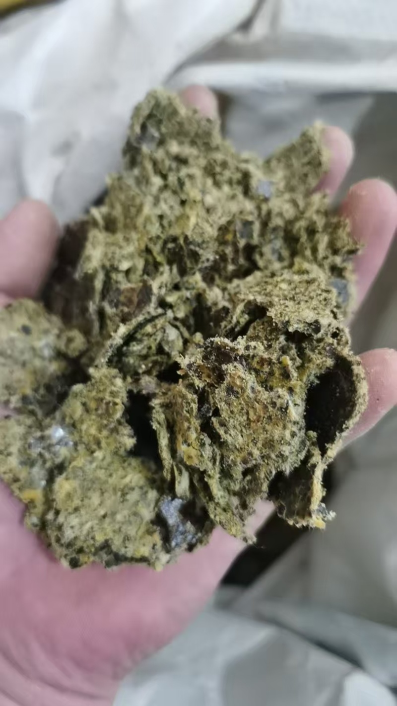 棉籽饼牛羊养殖饲料育肥棉饼有机肥瓜果蔬菜增收增产量大从优