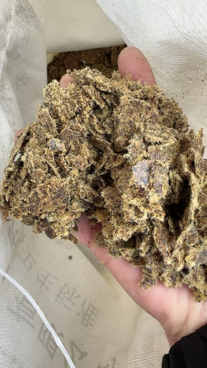 棉籽饼牛羊养殖饲料育肥棉饼有机肥瓜果蔬菜增收增产量大从优