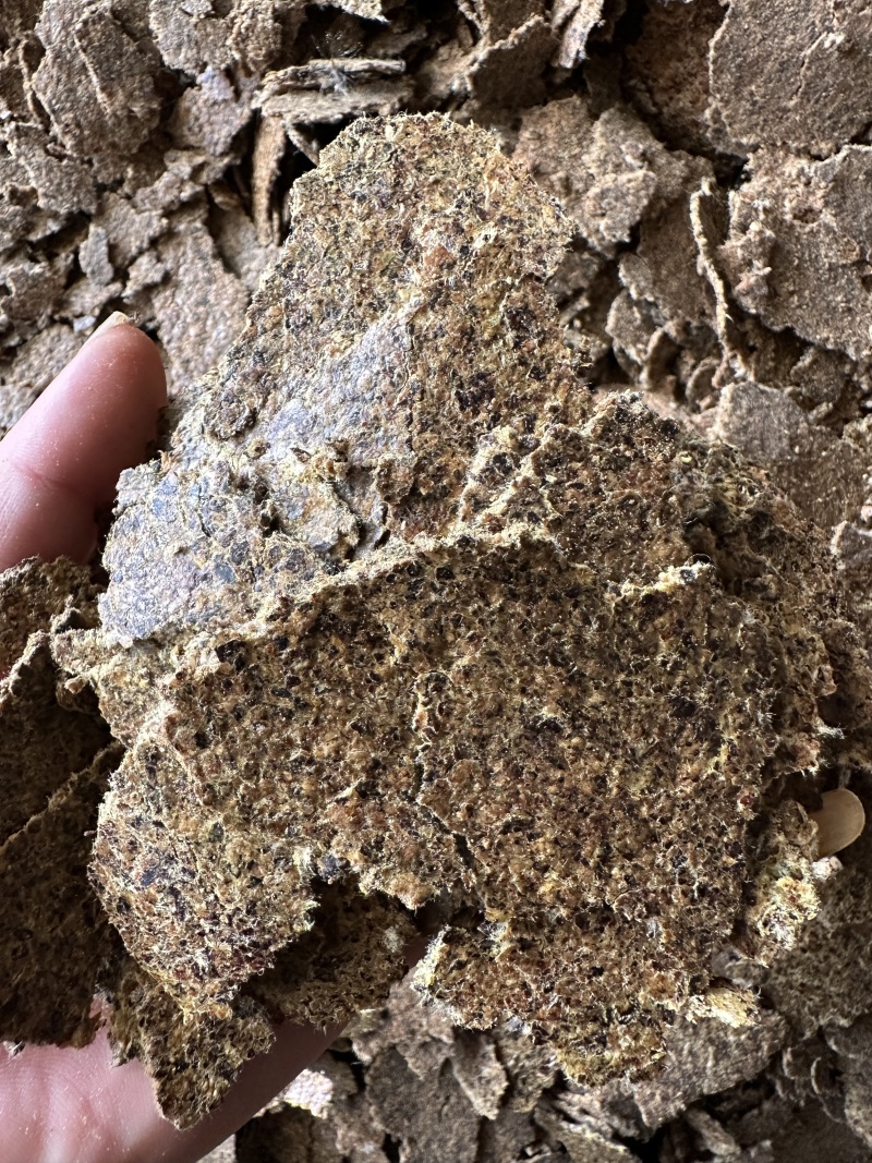 棉籽饼牛羊养殖饲料育肥棉饼有机肥瓜果蔬菜增收增产量大从优