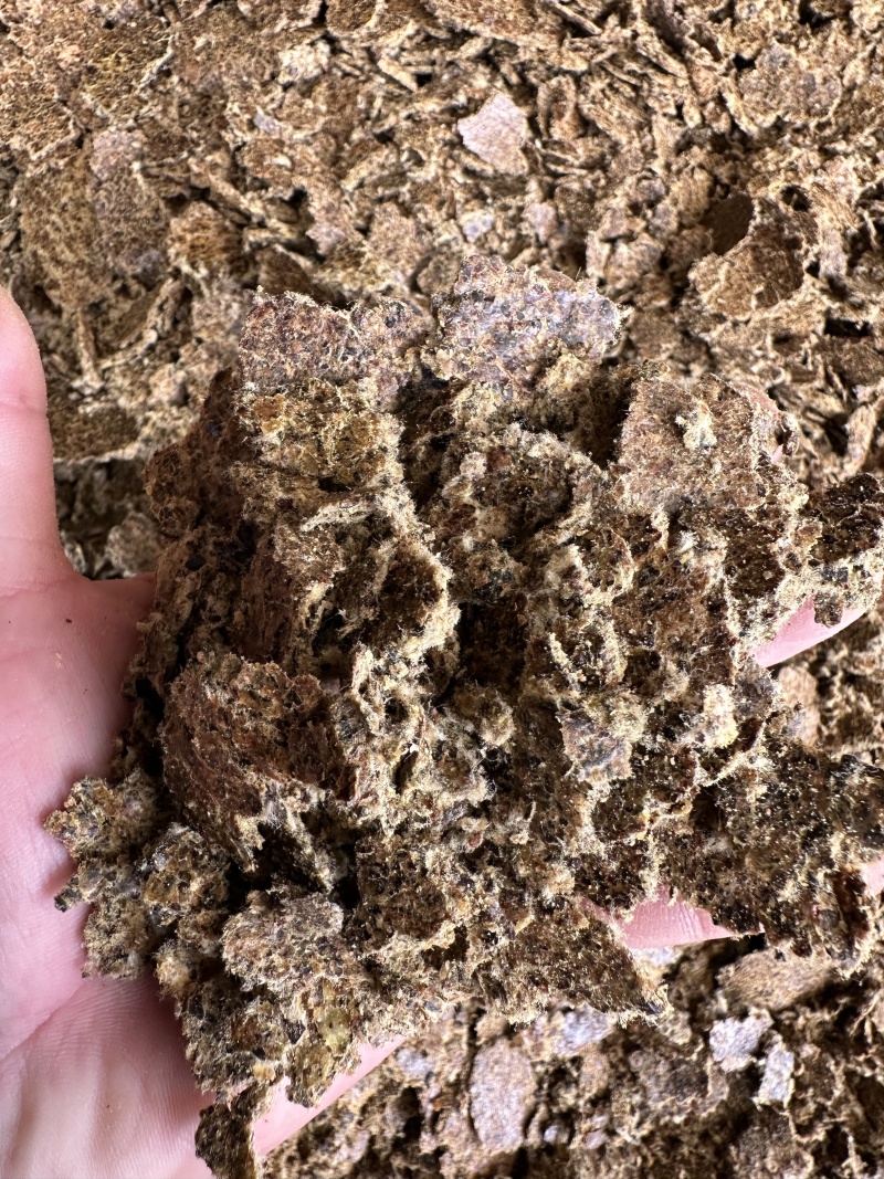 棉籽饼牛羊养殖饲料育肥棉饼有机肥瓜果蔬菜增收增产量大从优