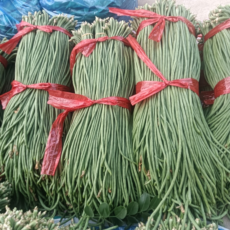 长条绿豇豆