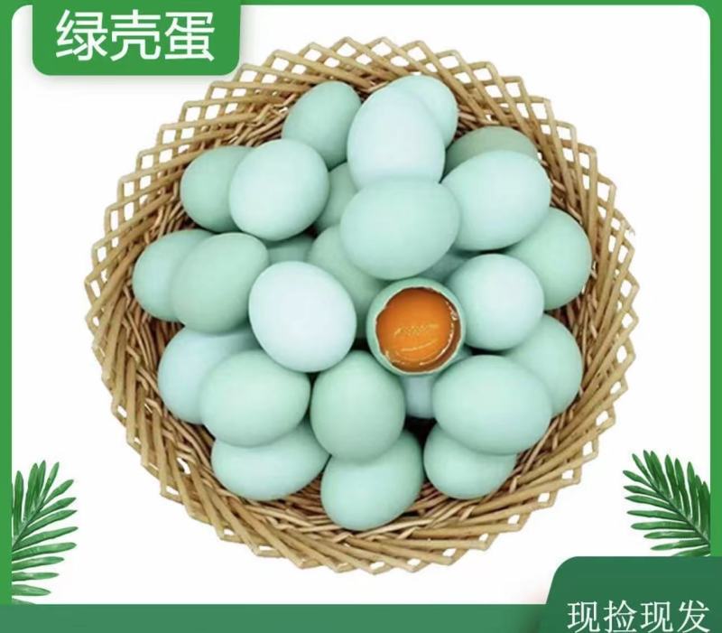 豫北大地，自家养殖乌鸡蛋，柴鸡蛋，自产自销品质保证