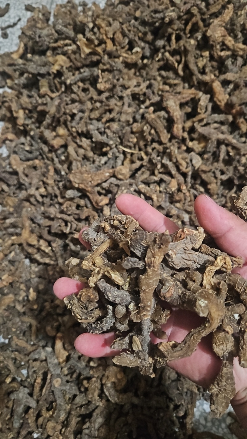 大别山野生黄精干，农户山上自挖，5年以上老黄精