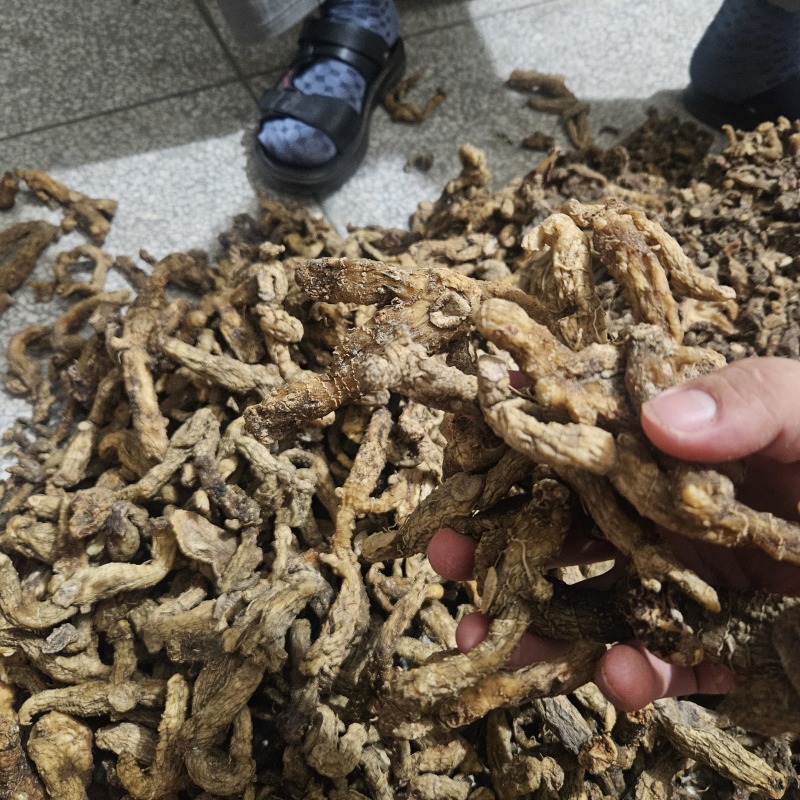 大别山野生黄精干，农户山上自挖，5年以上老黄精