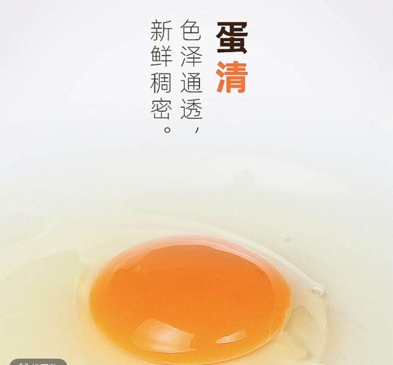 豫北柴鸡蛋，自家养殖直销，品质有保证，无公害