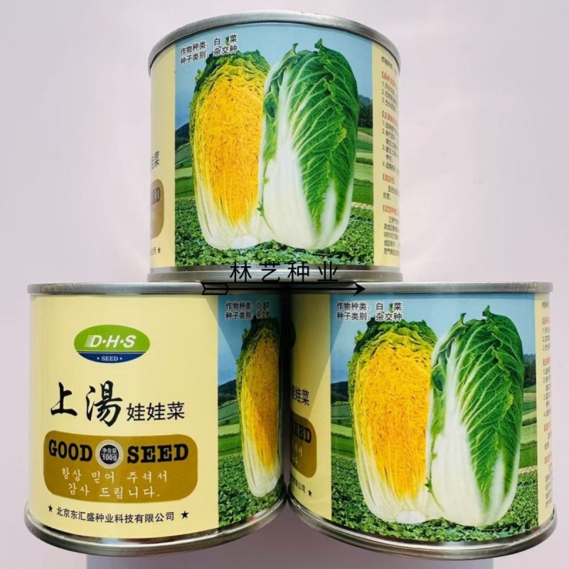 上汤娃娃菜娃娃菜种子口感好绿叶黄心早熟高产商品性佳
