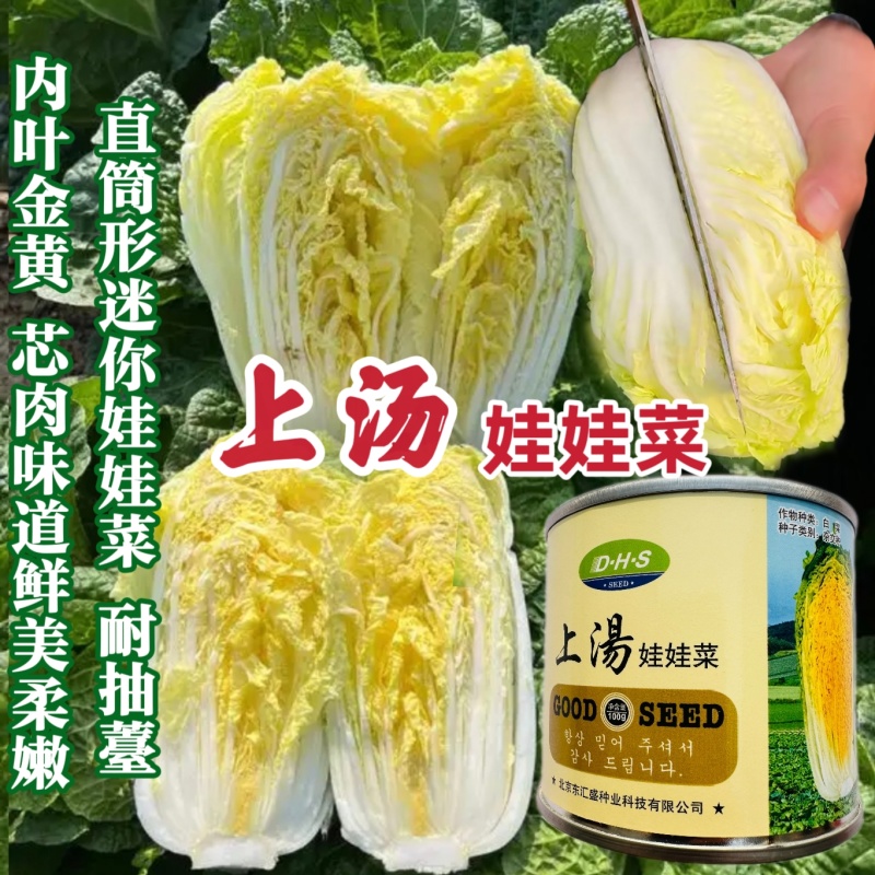 上汤娃娃菜娃娃菜种子口感好绿叶黄心早熟高产商品性佳